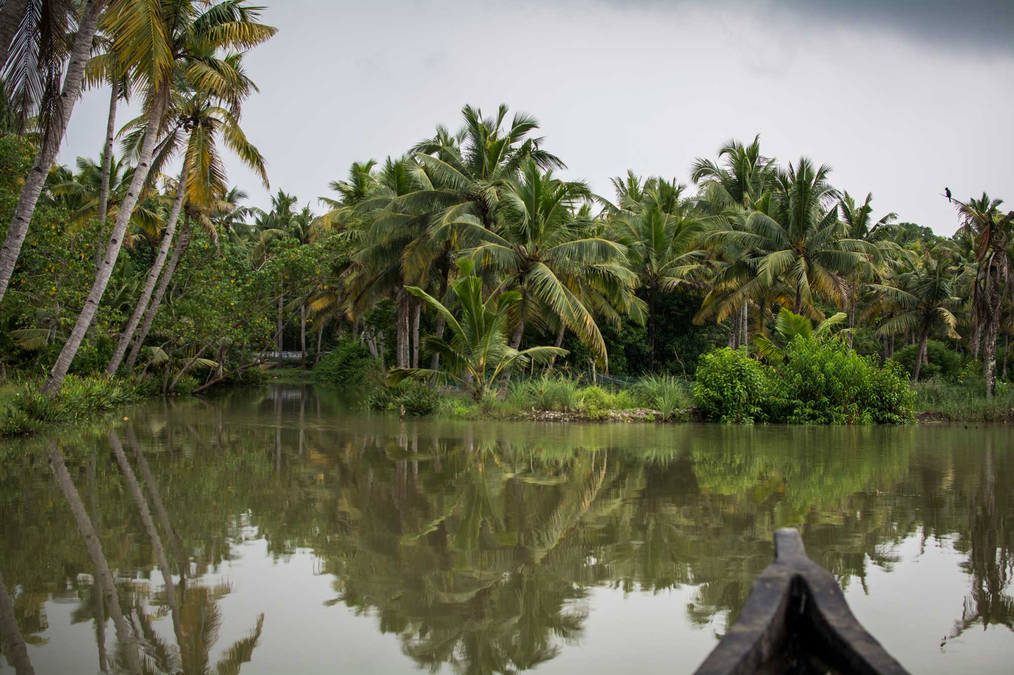 Munroe Island